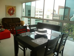 Newly Furnished Apartment photo 6