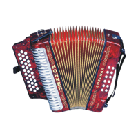 acordeon popular with Vallenata - a type of colombian folk musicwidth